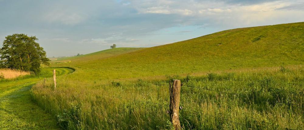 Die Morgensonne scheint über der Landschaft in der Uckermark.