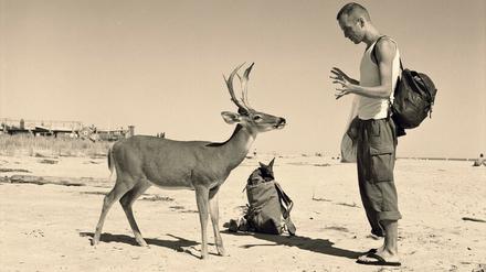 Beziehungsarbeit. „Die EU ist meiner Meinung nach bedroht und kann nur durch nachbarschaftliche Akte der Freundschaft gefestigt werden“, wird der Künstler Wolfgang Tillmans im Katalog der Ausstellung zitiert. Seine Arbeit „Deer Hirsch“ steht ebenfalls für eine Annährung – zwischen Mensch und Natur.