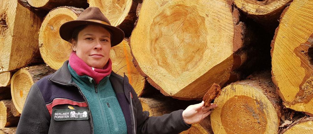 Die Grünauer Revierförsterin Ulrike Lucas vor geschlagenem Kiefernholz im Bohnsdorfer Wald.