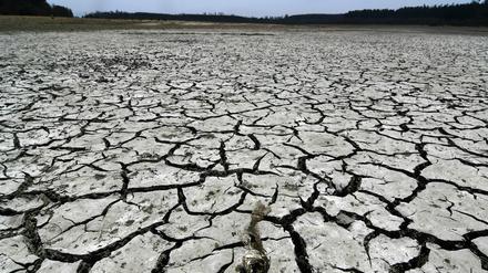 Klimawandel: Dürre in Chile. Eines der kommenden Jahre könnte nach einer Prognose der Weltwetterorganisation (WMO) den Rekord bei der globalen Durchschnittstemperatur brechen.