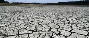 Klimawandel: Dürre in Chile. Eines der kommenden Jahre könnte nach einer Prognose der Weltwetterorganisation (WMO) den Rekord bei der globalen Durchschnittstemperatur brechen.