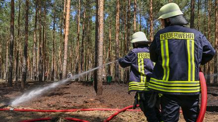 Die Rettungskräfte mussten in Brandenburg in diesem Jahr noch keine größeren, dafür 80 kleinere Brände löschen.