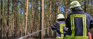 Die Rettungskräfte mussten in Brandenburg in diesem Jahr noch keine größeren, dafür 80 kleinere Brände löschen.