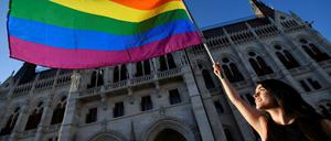Protest mit der Regenbogenfahne in Budapest gegen ein geplantes Gesetz