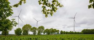 27.05.2021, Niedersachsen, Kirchlinteln: Windkraftanlagen stehen im Landkreis Verden in der Landschaft. (zu dpa ´ ´Es hat sich gedreht»: Der Windkraft-Widerstand und die Artenschützer») Foto: Moritz Frankenberg/dpa +++ dpa-Bildfunk +++