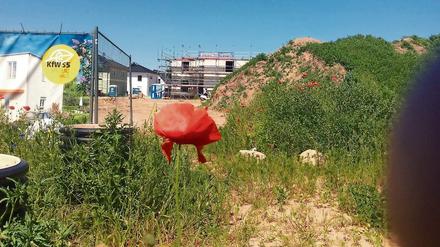 Planvoll. Das Baufeld für neue Einfamilienhäuser in Schönow ist abgesteckt, den Weg von Bernau nach Berlin nehmen künftige Eigentümer gern in Kauf. 