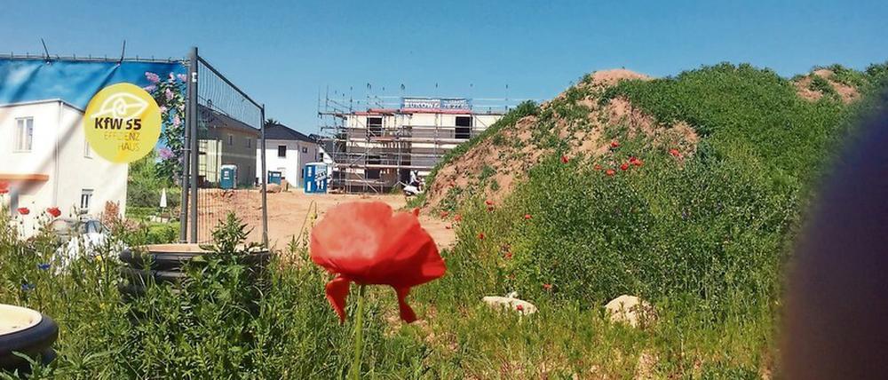 Planvoll. Das Baufeld für neue Einfamilienhäuser in Schönow ist abgesteckt, den Weg von Bernau nach Berlin nehmen künftige Eigentümer gern in Kauf.