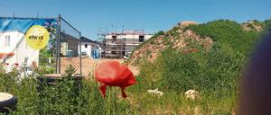 Planvoll. Das Baufeld für neue Einfamilienhäuser in Schönow ist abgesteckt, den Weg von Bernau nach Berlin nehmen künftige Eigentümer gern in Kauf. 