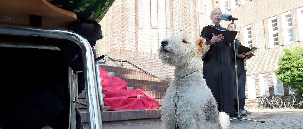 Einer für alle. Den Gottesdienst für Zwei- und Vierbeiner leitete Pfarrerin Claudia Wüstenhagen (am Mikrofon) vor der Kirchentür.