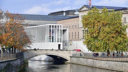 Bäume rahmen am Ufer der Spree den Eingang zur James-Simon-Galerie ein.