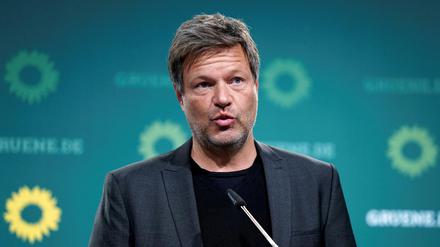 Robert Habeck, Co-Vorsitzender der Grünen
