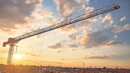 Über den Dächern: Beim Bauen soll künftig auf mehr Grün geachtet werden - auf Dächern und in Gärten.