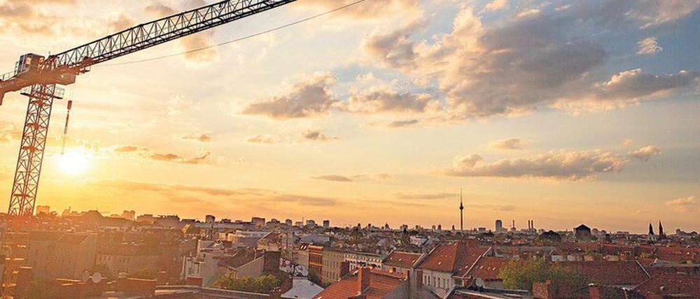 Über den Dächern: Beim Bauen soll künftig auf mehr Grün geachtet werden - auf Dächern und in Gärten.