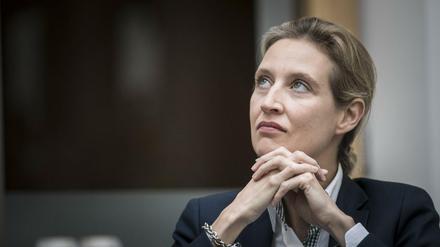 Alice Weidel steht wegen der Spendenaffäre auch innerparteilich unter Druck.