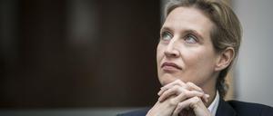 Alice Weidel steht wegen der Spendenaffäre auch innerparteilich unter Druck.