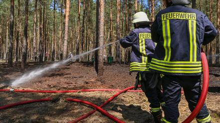 Mit steigender Hitze wächst auf die Gefahr für Waldbrände in der Region.
