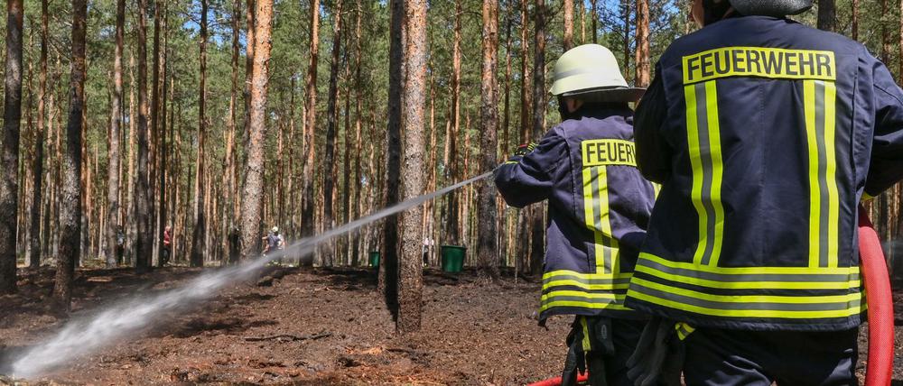 Mit steigender Hitze wächst auf die Gefahr für Waldbrände in der Region.
