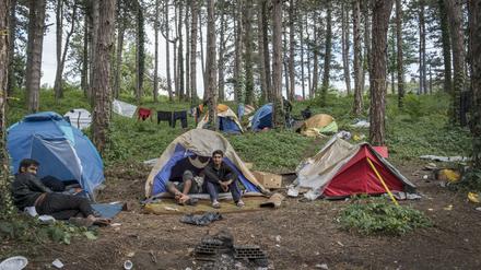 Migranten in einem bosnischen Wald. An der Grenze zu Kroatien wurden einige illegal zurückgewiesen.