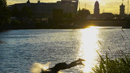 Die Spree ist in Berlin ein Stausee, der aussieht wie ein Fluss. Und sie nimmt mehr Wasser mit, als sie bringt.