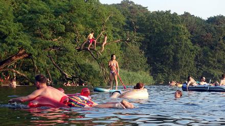 Zerkarien treten vor allem im Uferbereich auf - einige Schwimmer haben nach einem Bad im Schlachtensee von Ausschlägen berichtet.