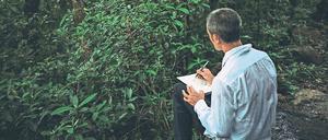 Sitzen, zeichnen, verschmelzen. Zheng Bo auf Lantau Island vor der Küste Hongkongs. 