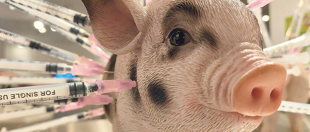 Im neuen Museum erfahren die Besucher, was die Agrarindustrie so alles hineinspritzt ins Schweinefleisch.