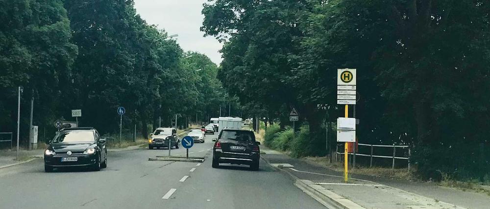 Der Havelrad- und Wanderweg in Gatow: Hier muss man von rechts nach links runter zum Wasser.