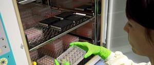 Zukunftsbranche Gesundheit und Medizin. Ob Zellforschung oder Impfstoffentwicklung und vieles mehr - Jungunternehmen aus diesem Bereich werden künftig gefördert.