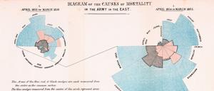 Ein Klassiker der modernen Infografik. In diesem Diagramm bündelte Florence Nightingale 1858, was sie über die Sterbeursachen britischer Soldaten im Krimkrieg herausgefunden hatte. 