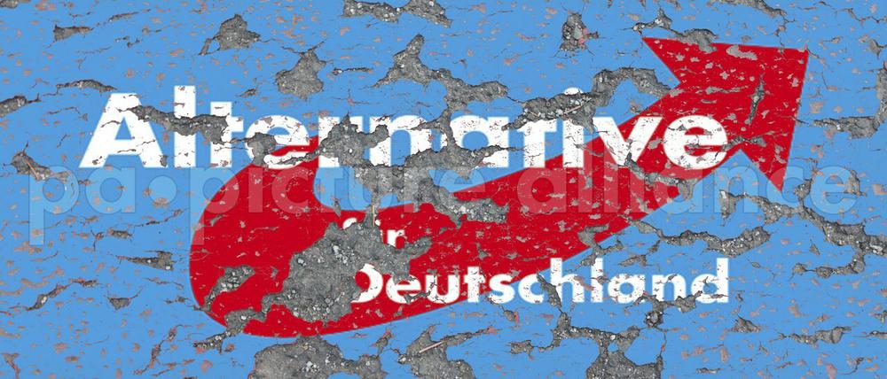 Steuergelder für rechte Stiftung? Der Zentralrat der Juden in Deutschland und weitere Organisationen warnen vor staatlicher Finanzierung der AfD-nahen Desiderius-Erasmus-Stiftung