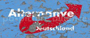 Steuergelder für rechte Stiftung? Der Zentralrat der Juden in Deutschland und weitere Organisationen warnen vor staatlicher Finanzierung der AfD-nahen Desiderius-Erasmus-Stiftung