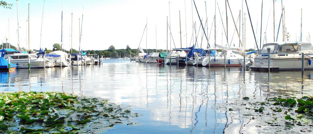 Die Bootsanlegestellen an der Scharfen Lanke.