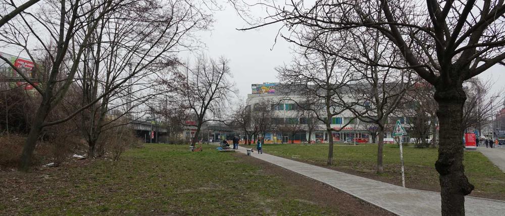Auf dieser Wiese an der Frankfurter Allee sollte der "Common Place" für obdachlose Menschen entstehen. 