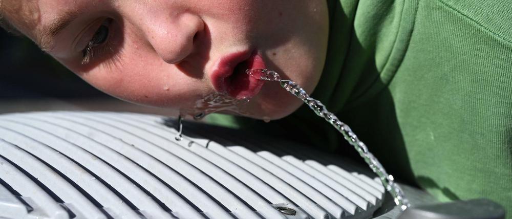 Läuft bei ihm. Mehr als 180 öffentliche Trinkbrunnen stehen inzwischen in Berlin