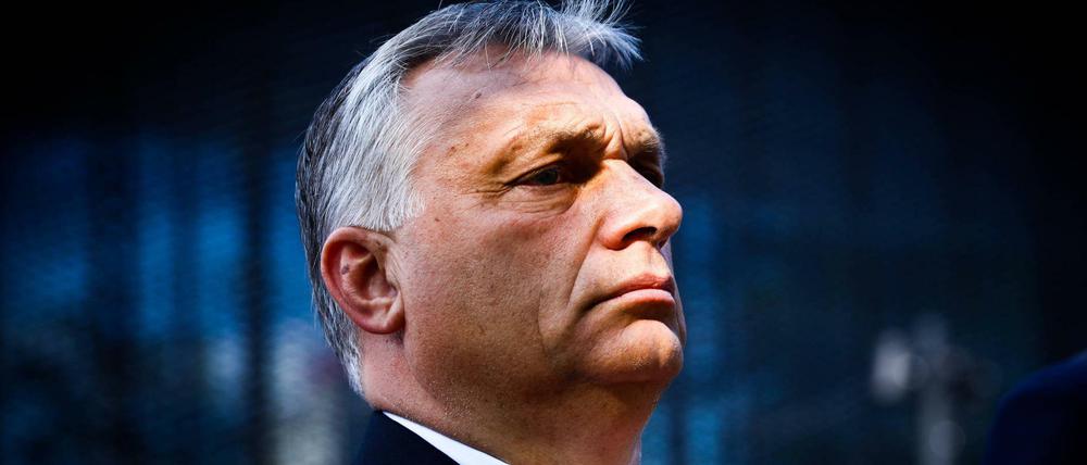 Ungarns Regierungschef Viktor Orban 