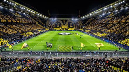 Bald könnten die Stadien in Deutschland schon wieder voll sein.