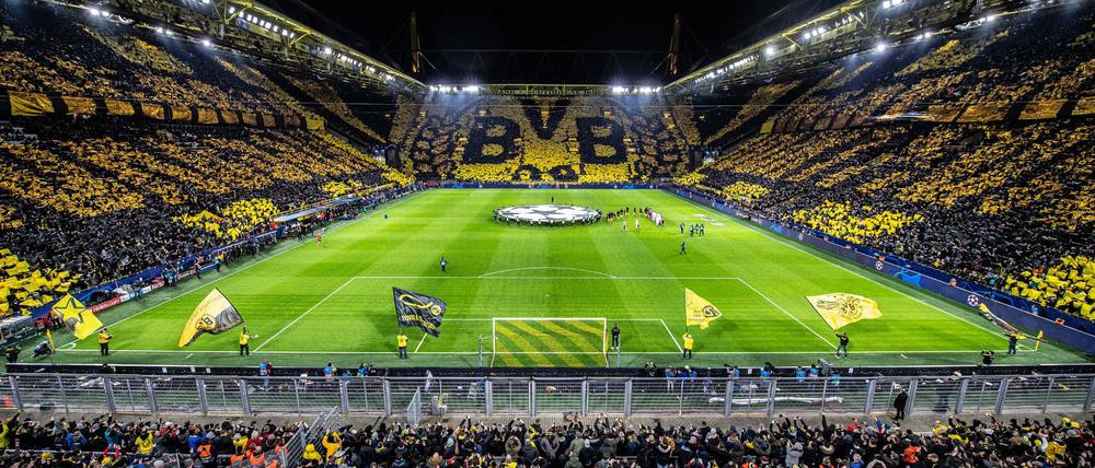 Bald könnten die Stadien in Deutschland schon wieder voll sein.