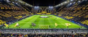 Bald könnten die Stadien in Deutschland schon wieder voll sein.