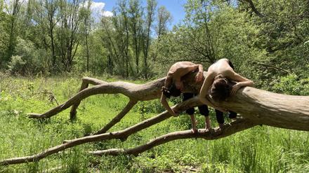 „Weaving In“ von Svea Schneider-Sierra.