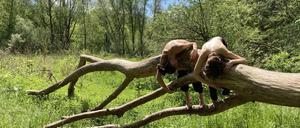 „Weaving In“ von Svea Schneider-Sierra.