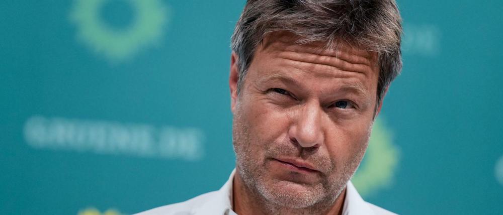 Robert Habeck, Co-Bundesvorsitzender von Bündnis 90/Die Grünen