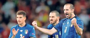 Italiens Giorgio Chiellini (re.) brüllt seine Freude heraus. 