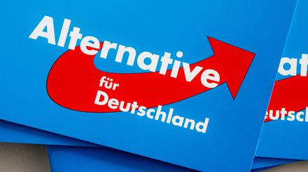 Im Fokus: Der Berliner Landesverband der AfD