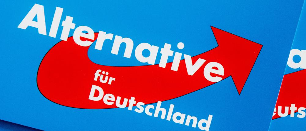 Im Fokus: Der Berliner Landesverband der AfD