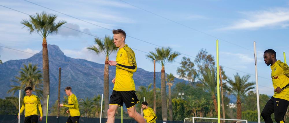 Im Winter trainieren viele Bundesligisten unter Palmen - wie hier Borussia Dortmund in Marbella. Warum also nicht gleich ein paar Pflichtspiele dranhängen?