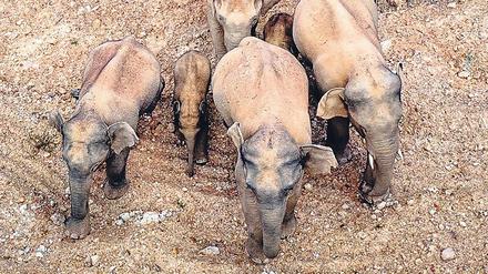 Ein langer Familienausflug.
