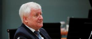 Der Bundesinnenminister Horst Seehofer.
