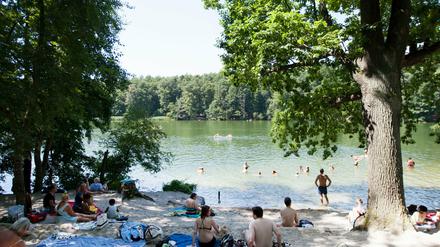 Badegäste liegen und baden an der Krumme Lanke in Berlin. Nach starkem Regen sollte man die Berliner Gewässer allerdings lieber ein paar Tage meiden.