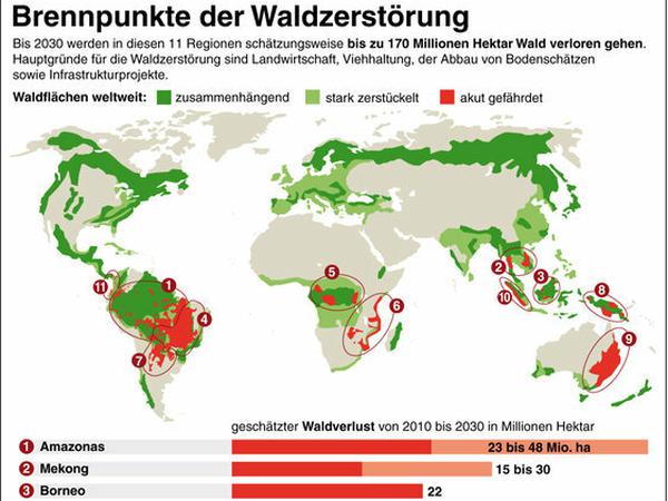 Eine Grafik, die den Grad der Waldzerstörung weltweit zeigt. Im Amazonas-Gebiet sind große Flächen als "akut gefährdet" rot eingefärbt.