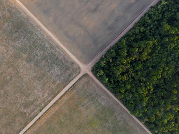 Großflächiger Sojaanbau im Amazonas-Gebiet. Von vier großen Landstücken in einer Luftaufnahme ist nur noch eines bewaldet.